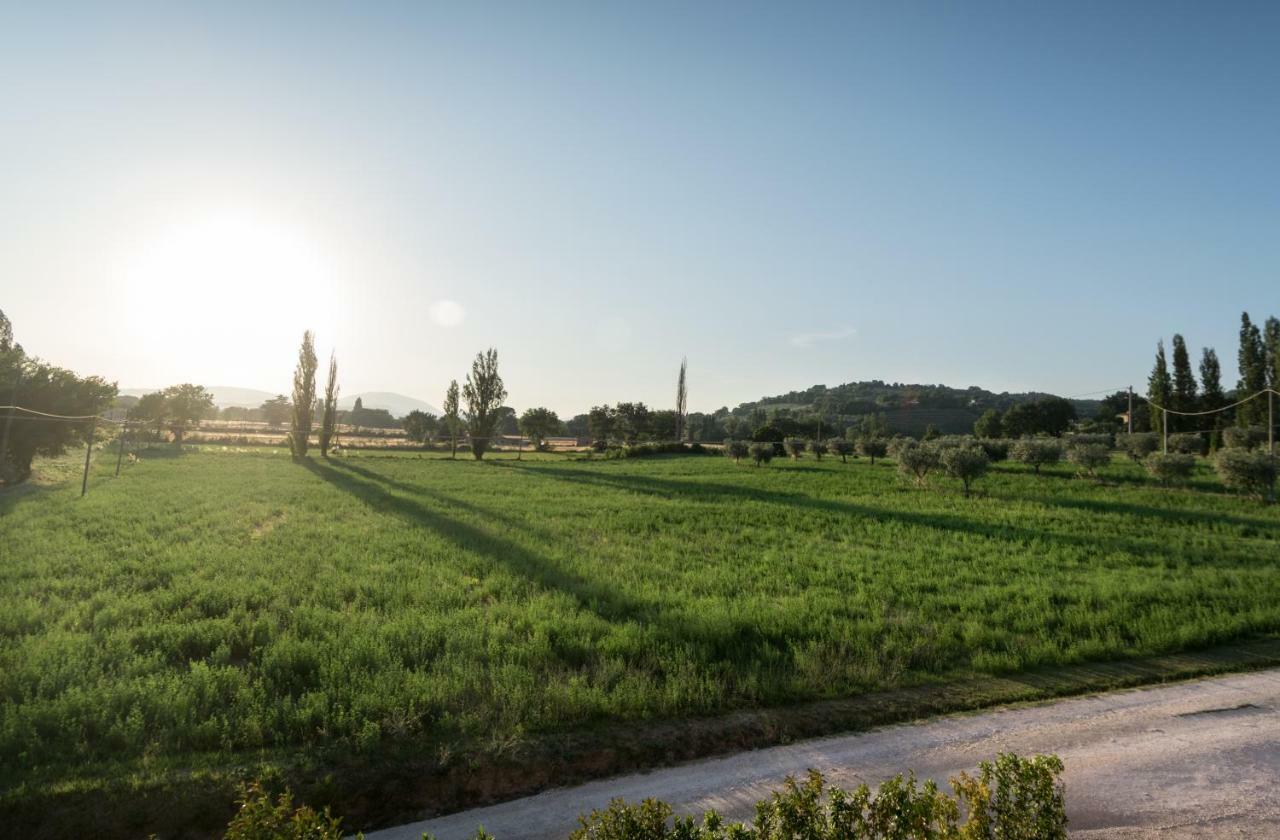 Bed & Breakfast Bed & Breakfast Al Pian D'Assisi Assisi