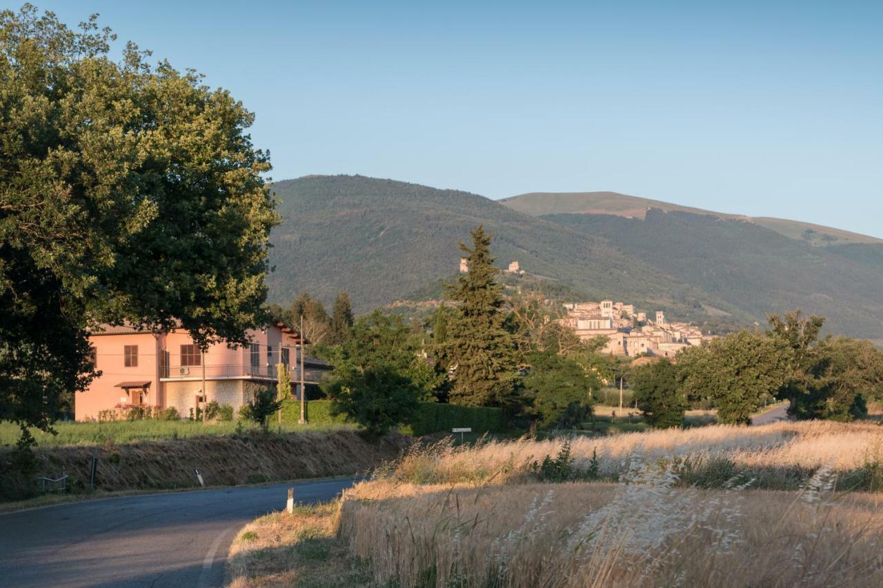 Bed & Breakfast Al Pian D'Assisi * Assisi