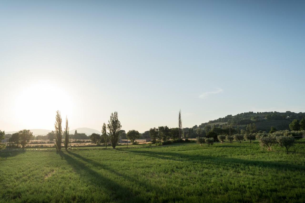 Bed & Breakfast Al Pian D'Assisi * Assisi