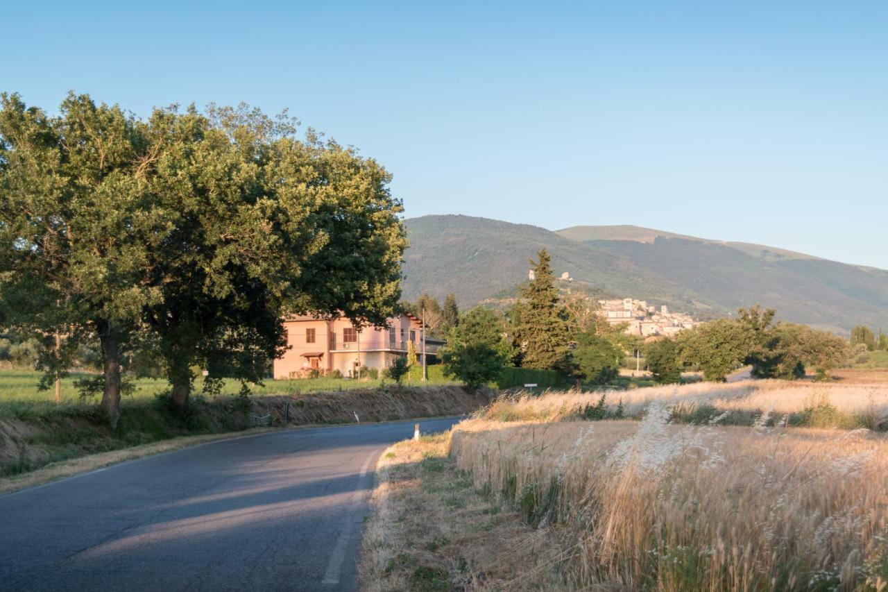 Bed & Breakfast Al Pian D'Assisi *