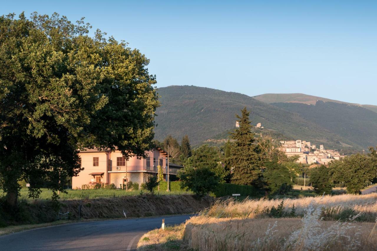 Al Pian D'assisi *